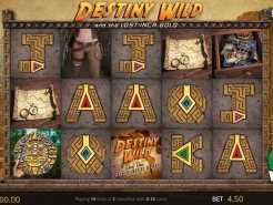 Destiny Wild